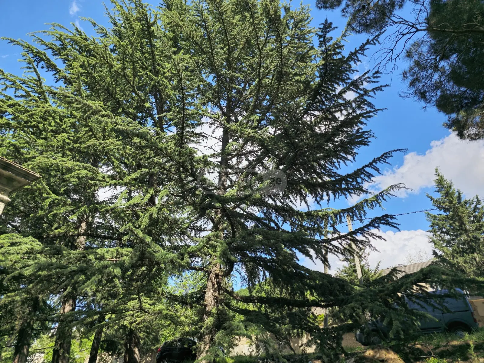 Non-Agricultural Plot For Sale In Gardabani view 6