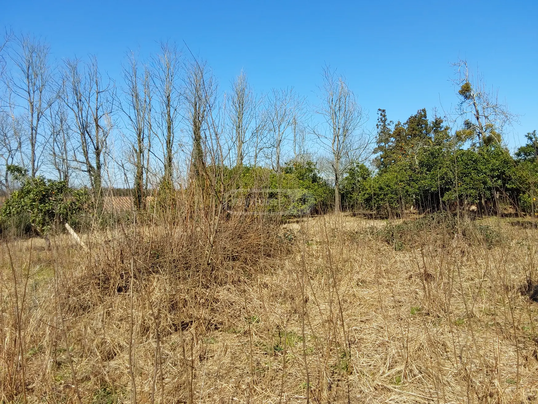 4 Room Private House For Sale view 4