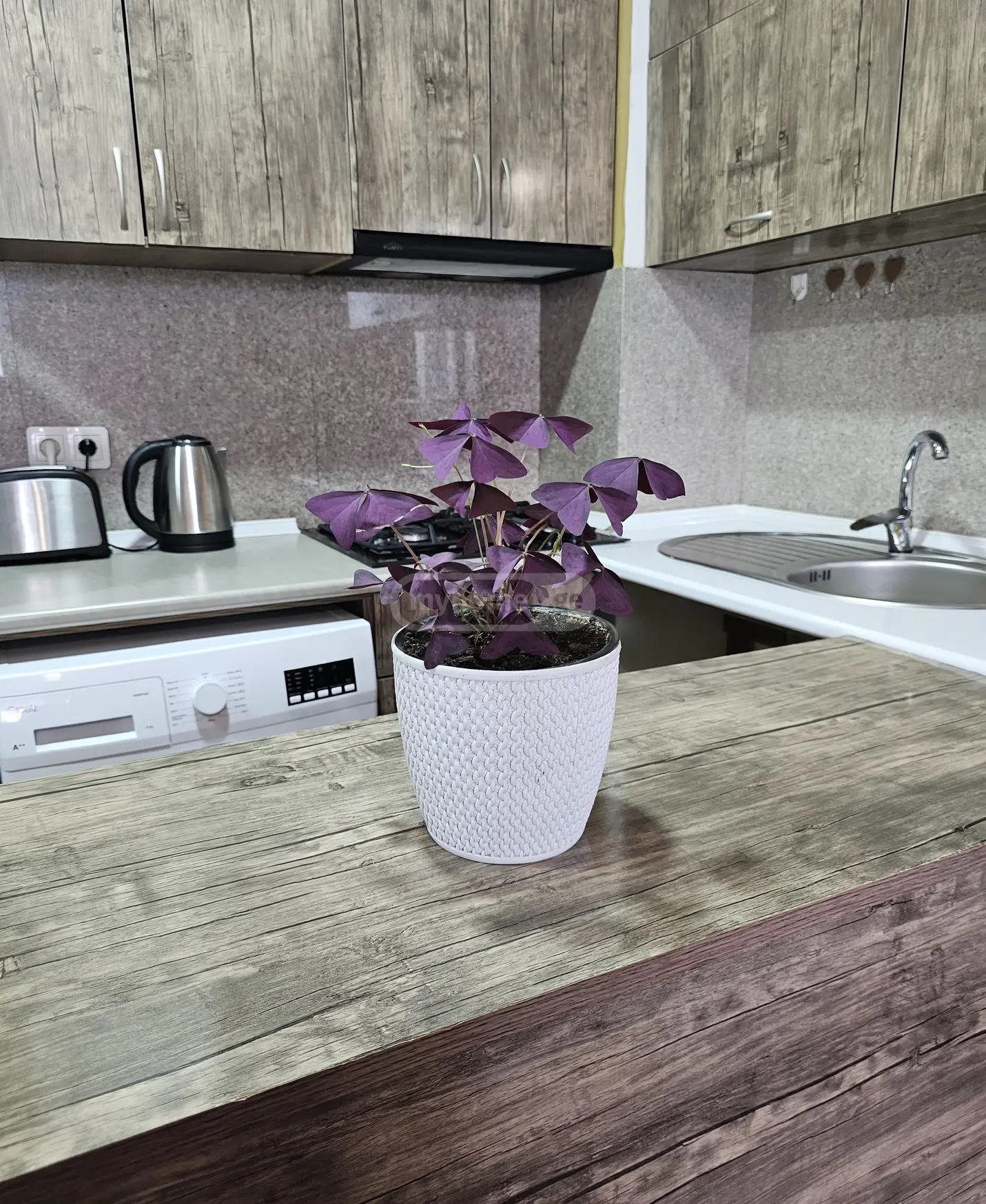 2 Room Apartment Daily Rent In Varketili view 9