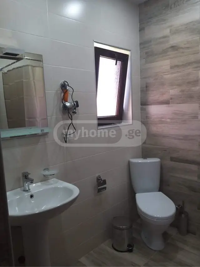 3 Room Country House Daily Rent In Bakuriani view 11