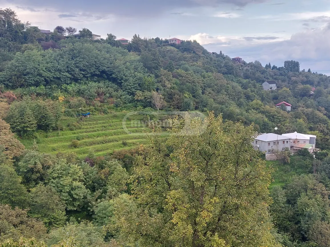 Agricultural Plot For Sale In Khelvachauri view 1