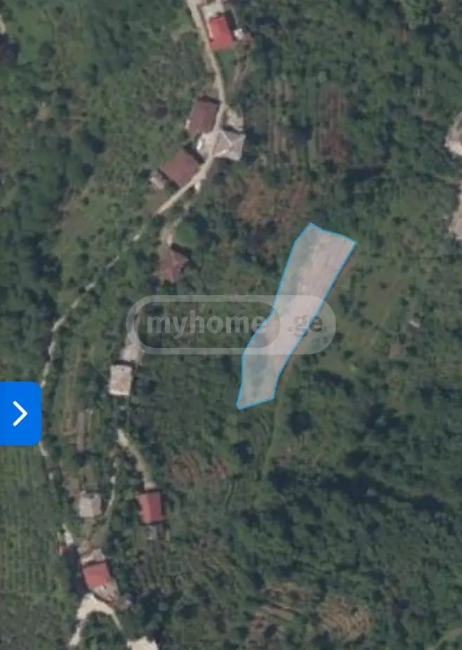 Agricultural Plot For Sale In Khelvachauri view 4