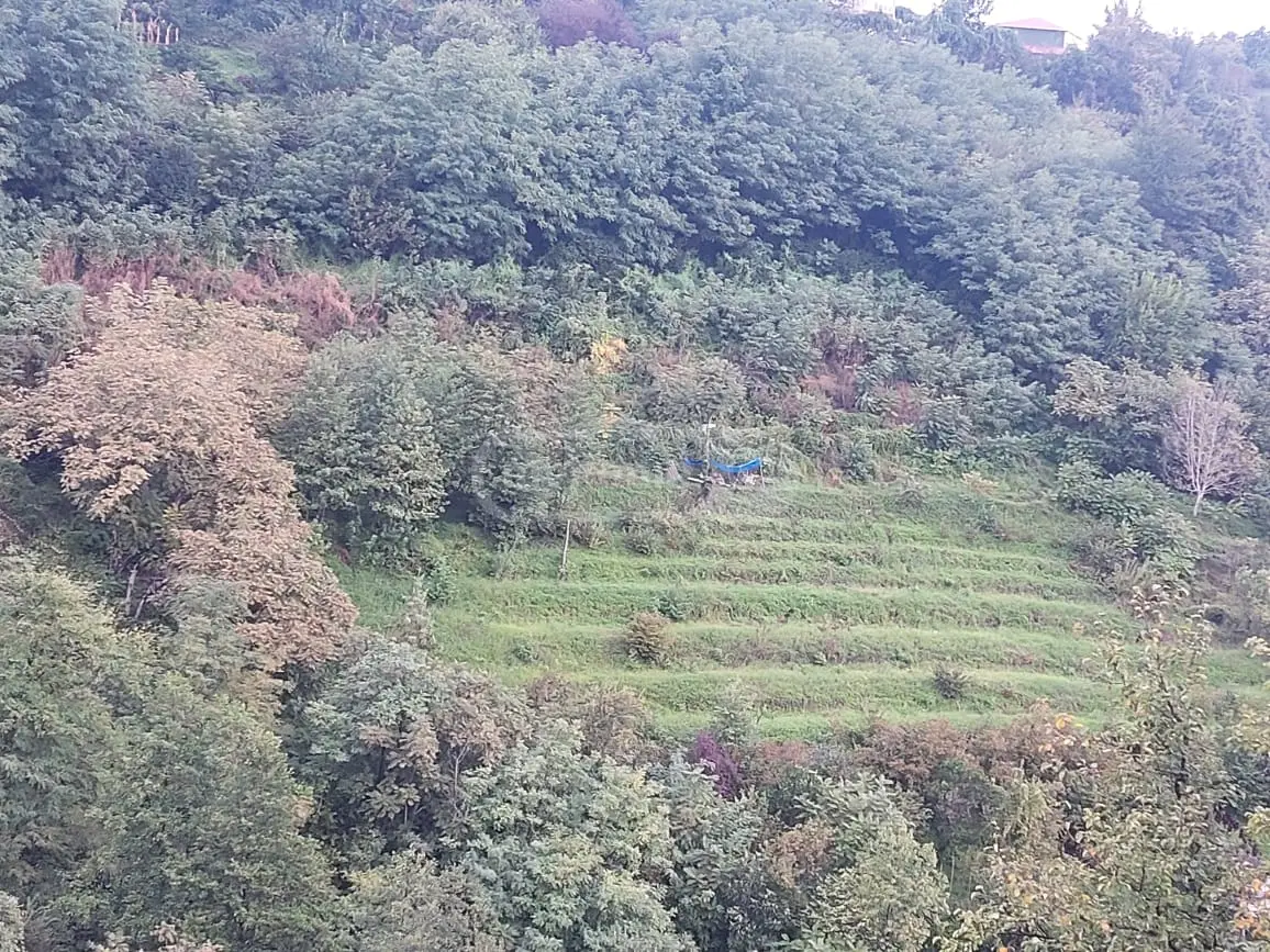 Agricultural Plot For Sale In Khelvachauri view 2