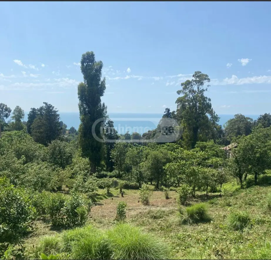 Agricultural Plot For Sale In Tsikhisdziri, In Kobuleti Municipality view 2
