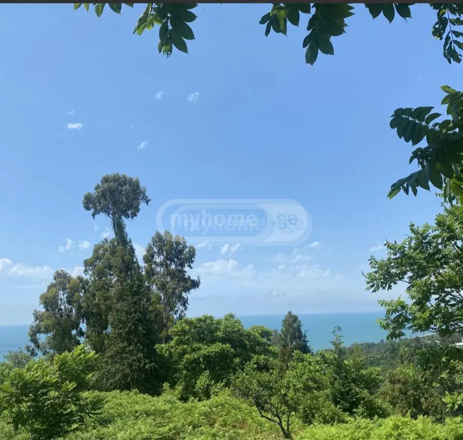 Agricultural Plot For Sale In Tsikhisdziri, In Kobuleti Municipality view 3
