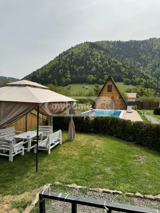 3 Room Country House Daily Rent In Municipality Of Borjomi, In Borjomi Municipality view 4