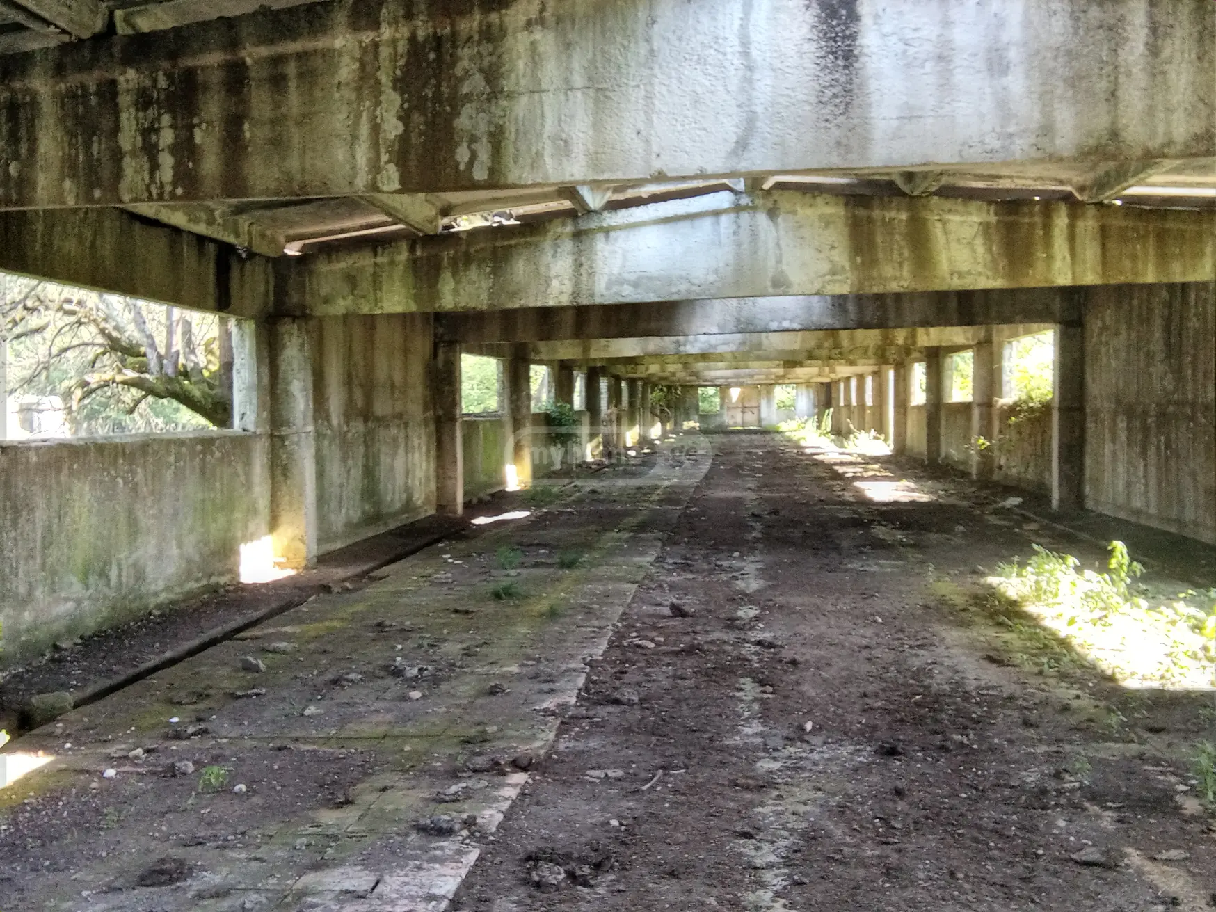 Manufacturing Commercial Area For Sale In Zugdidi view 5