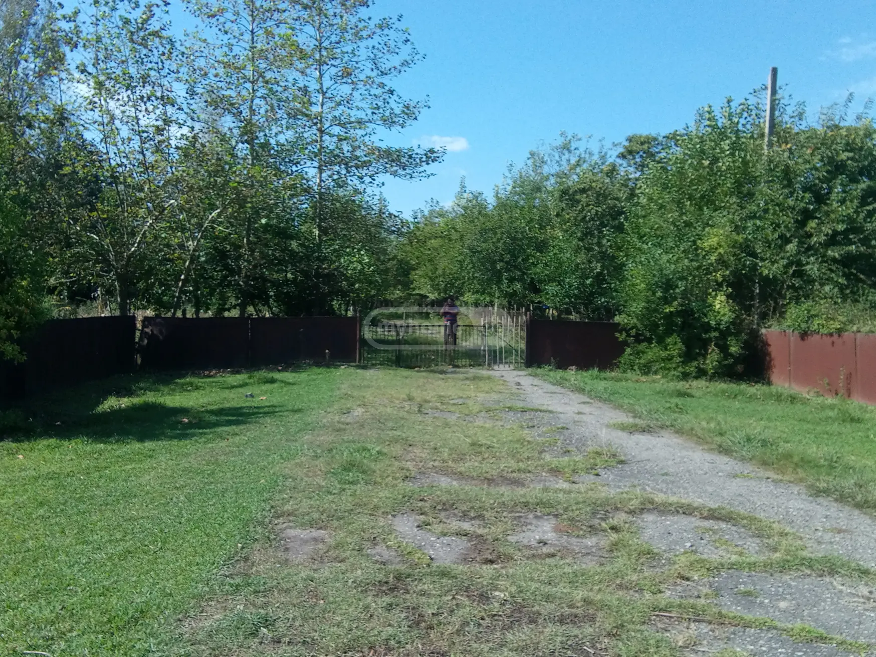 Manufacturing Commercial Area For Sale In Zugdidi view 6