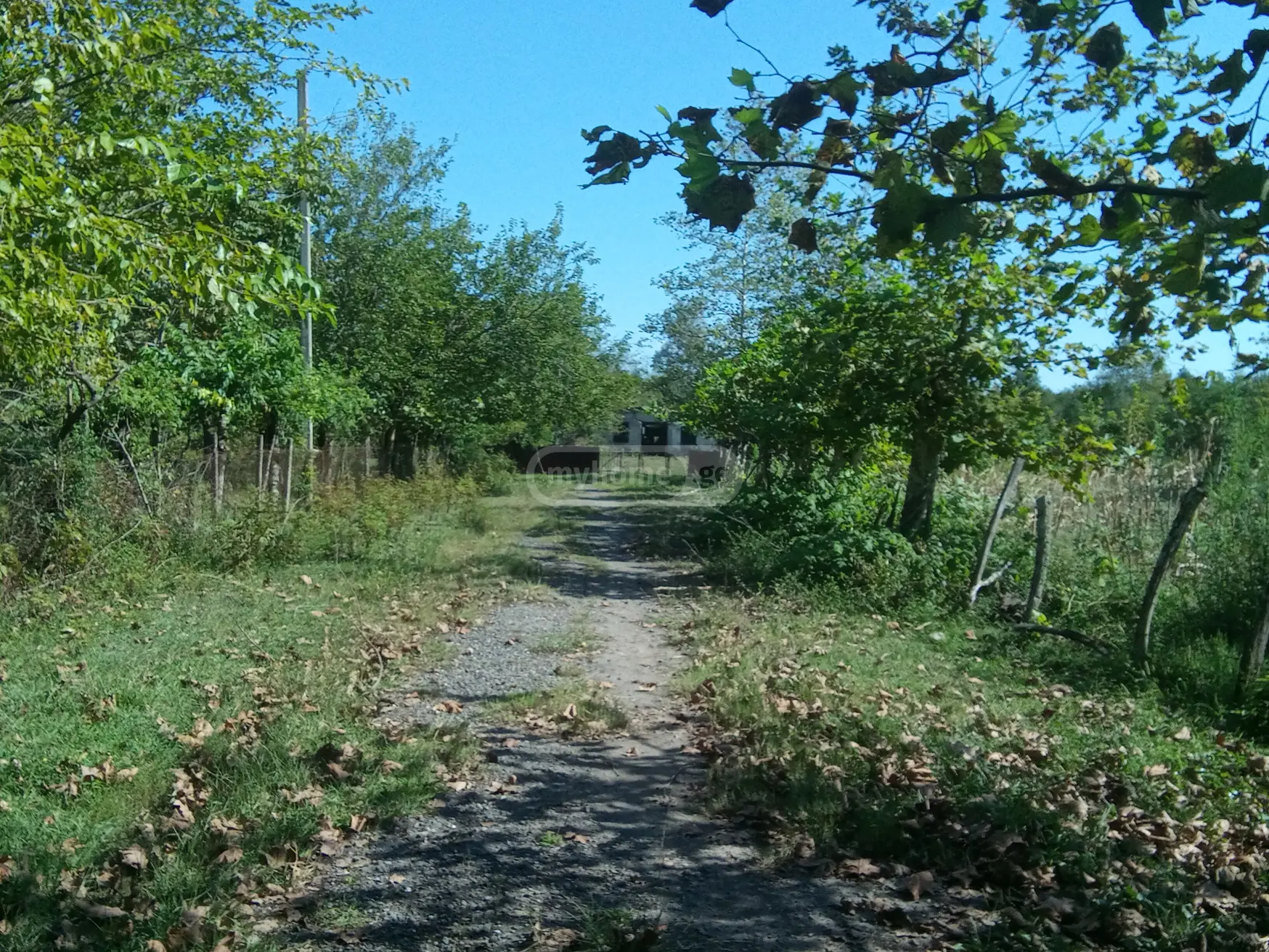 Manufacturing Commercial Area For Sale In Zugdidi view 8
