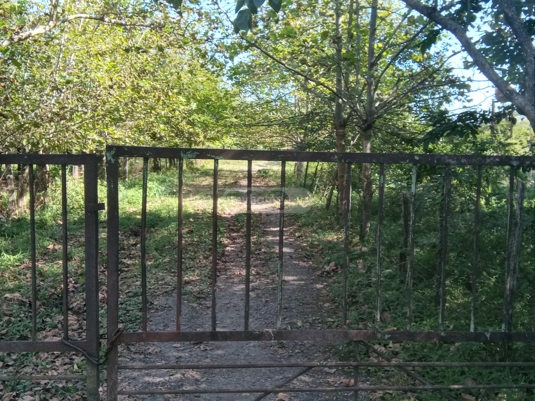 Manufacturing Commercial Area For Sale In Zugdidi view 7