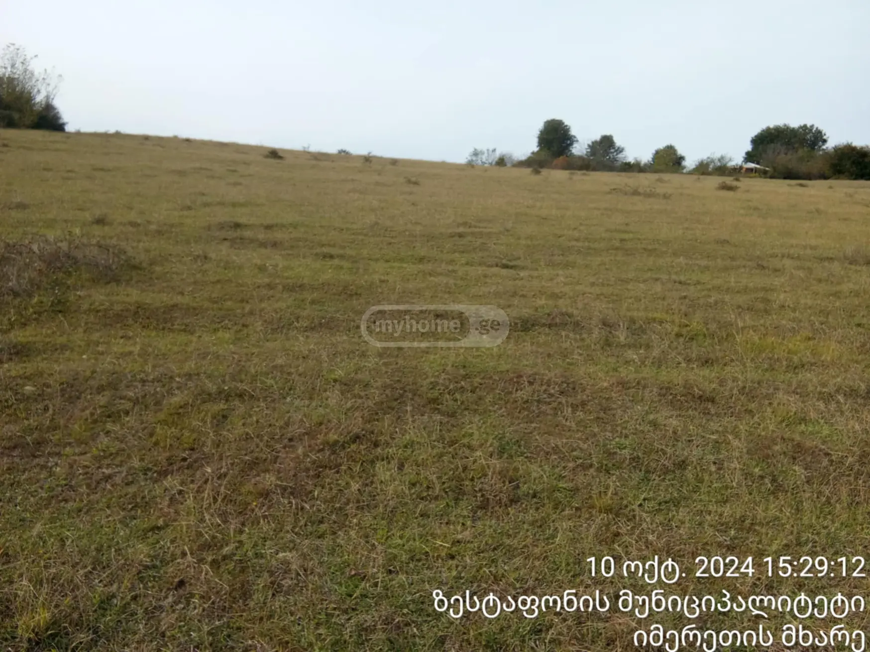 იყიდება Agricultural Plot In Zestaphoniში view 4