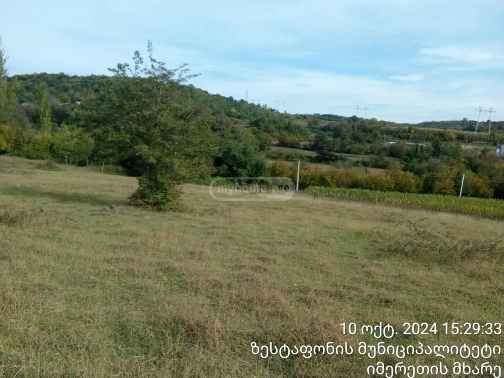 იყიდება Agricultural Plot In Zestaphoniში view 2