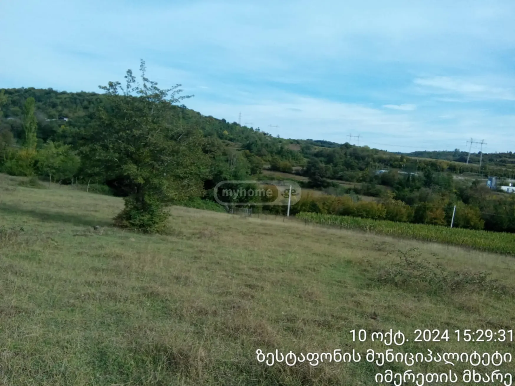 იყიდება Agricultural Plot In Zestaphoniში view 3