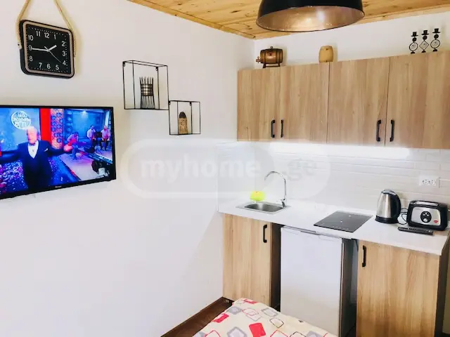1 Room Hotel Daily Rent In Bakuriani view 4