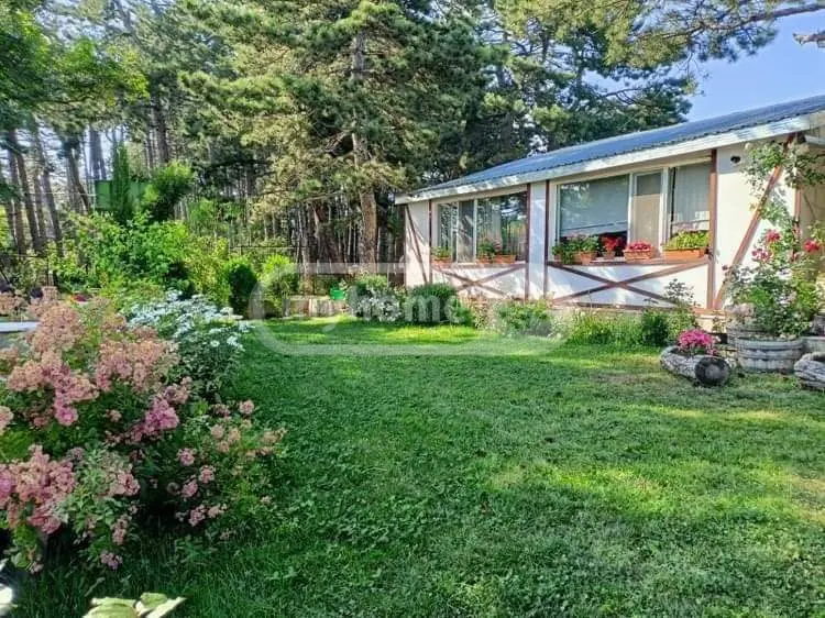 5 Room Country House For Rent In Kojori view 2