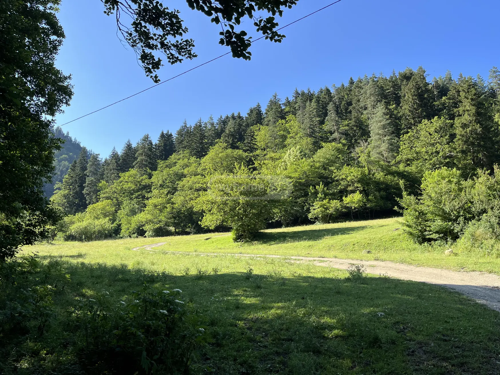 Agricultural Plot For Sale In Likani, In Borjomi Municipality view 2