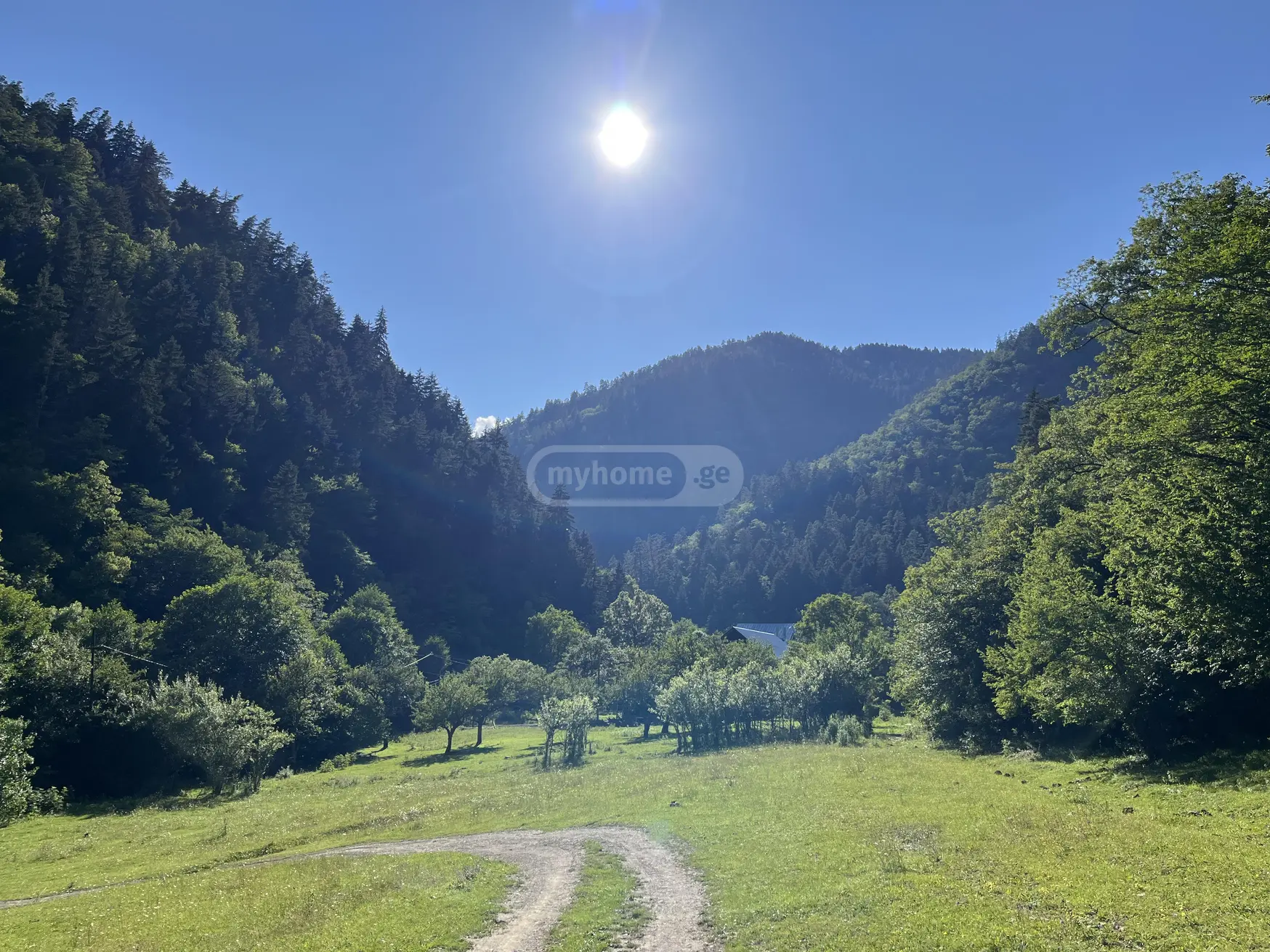 Agricultural Plot For Sale In Likani, In Borjomi Municipality view 1