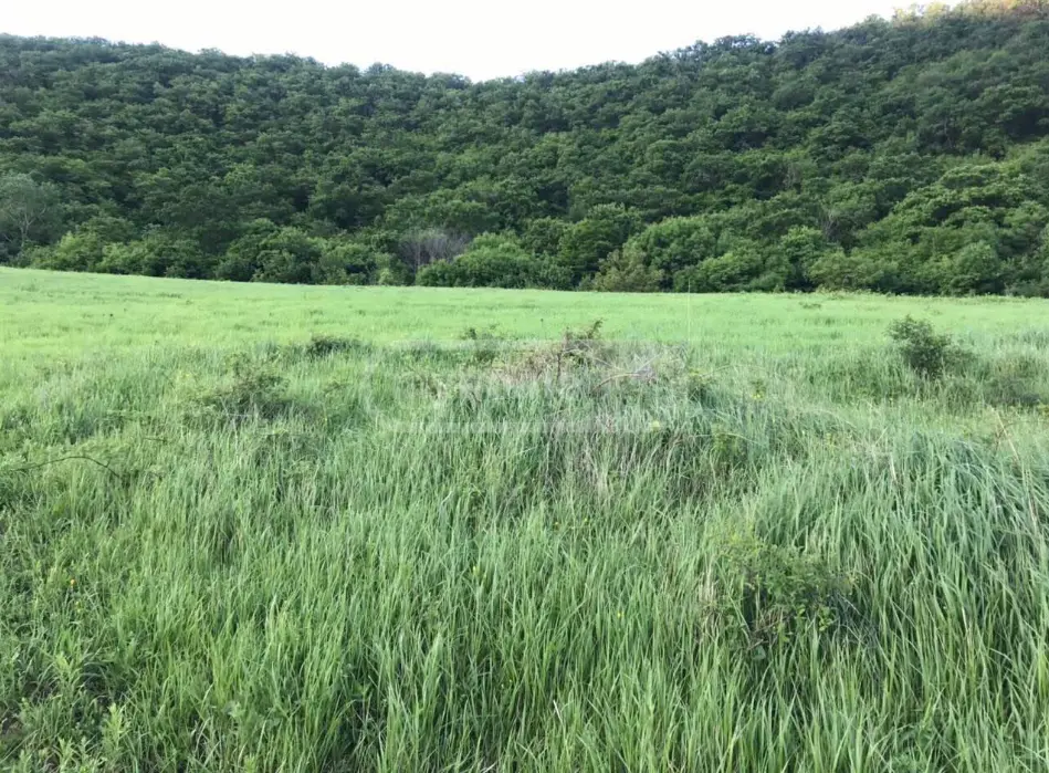 Special Plot For Sale In Saguramo, In Mtskheta Municipality view 3