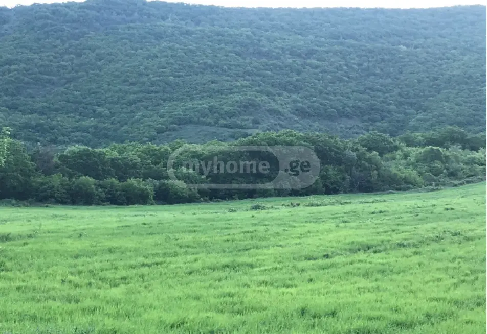 Special Plot For Sale In Saguramo, In Mtskheta Municipality view 2
