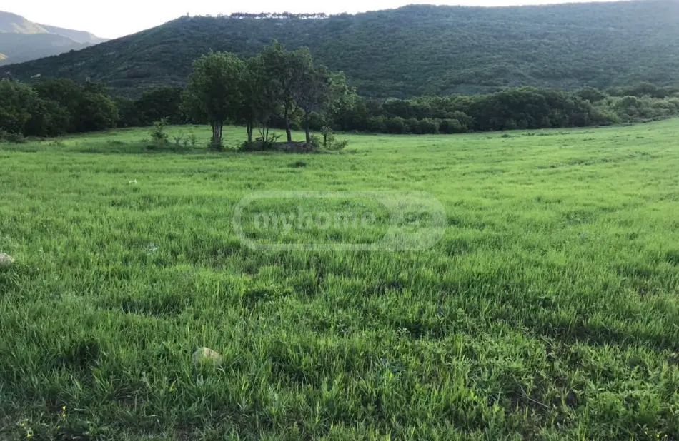 Special Plot For Sale In Saguramo, In Mtskheta Municipality view 1