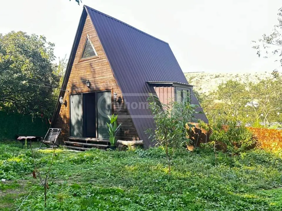 2 Room Private House Daily Rent In Lisi Lake view 1