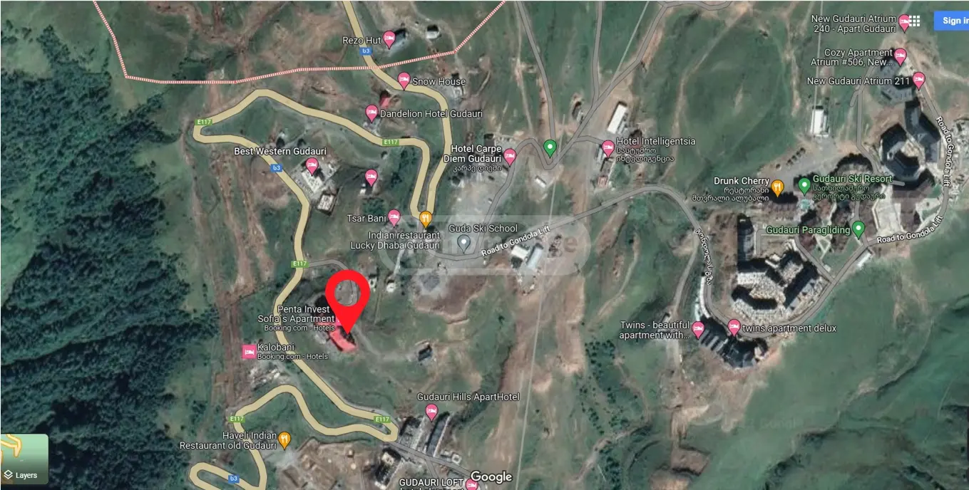 Food Object Commercial Area For Sale In Gudauri view 8