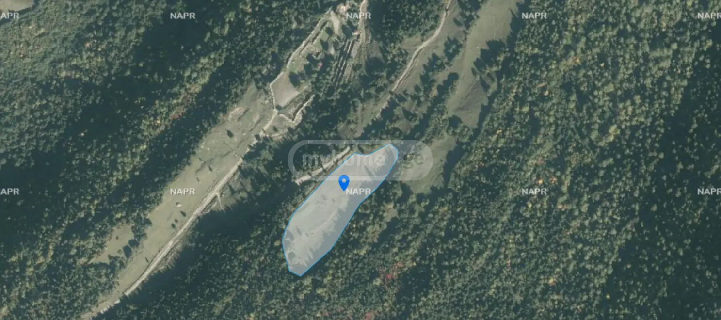 Agricultural Plot For Sale In Mestia view 3