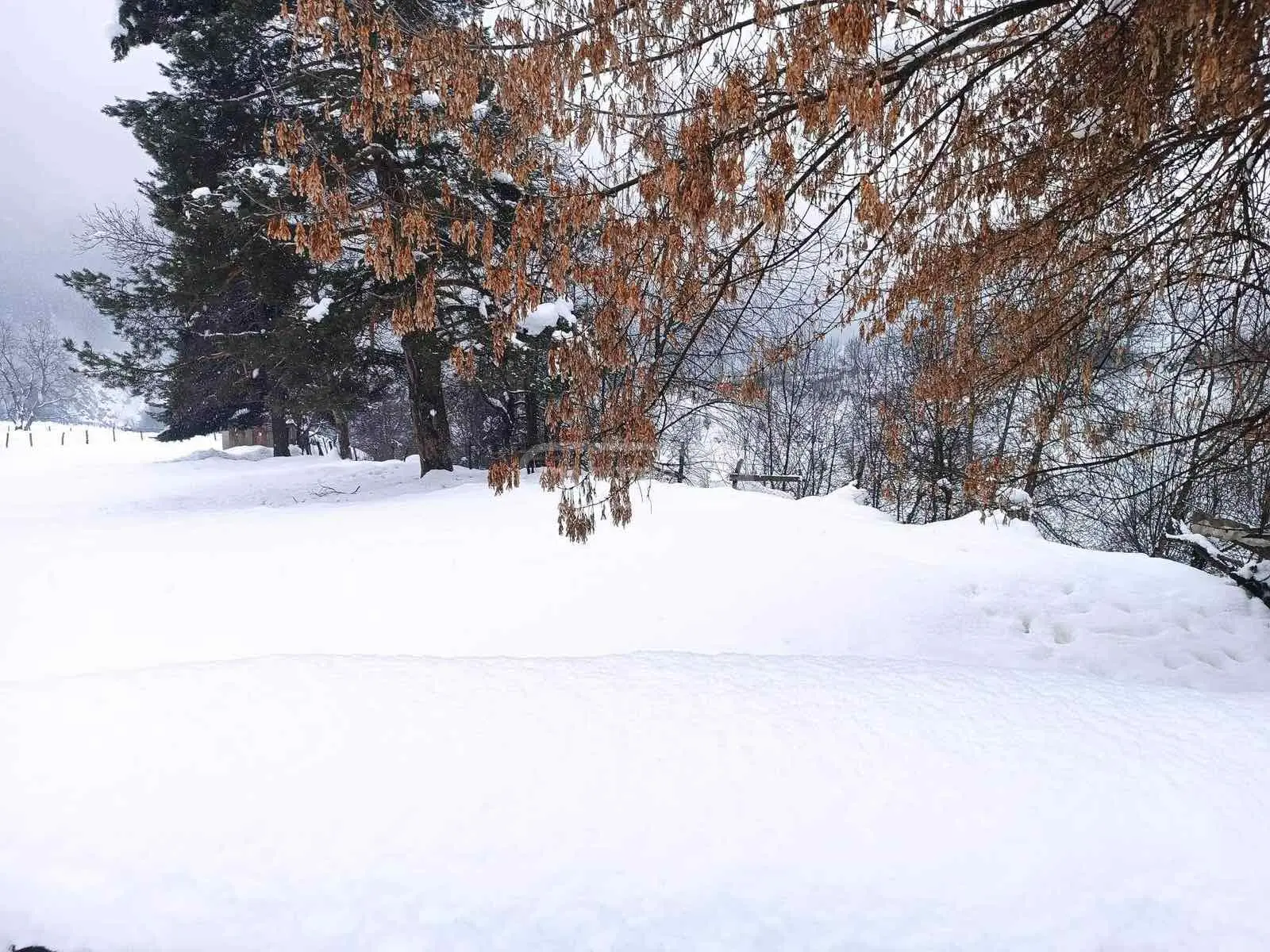 Agricultural Plot For Sale In Mestia view 1