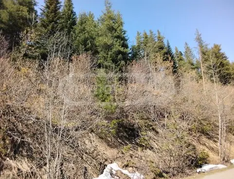 Agricultural Plot For Sale In Mestia view 2