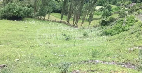 იყიდება Agricultural Plot In Mestiaში view 2