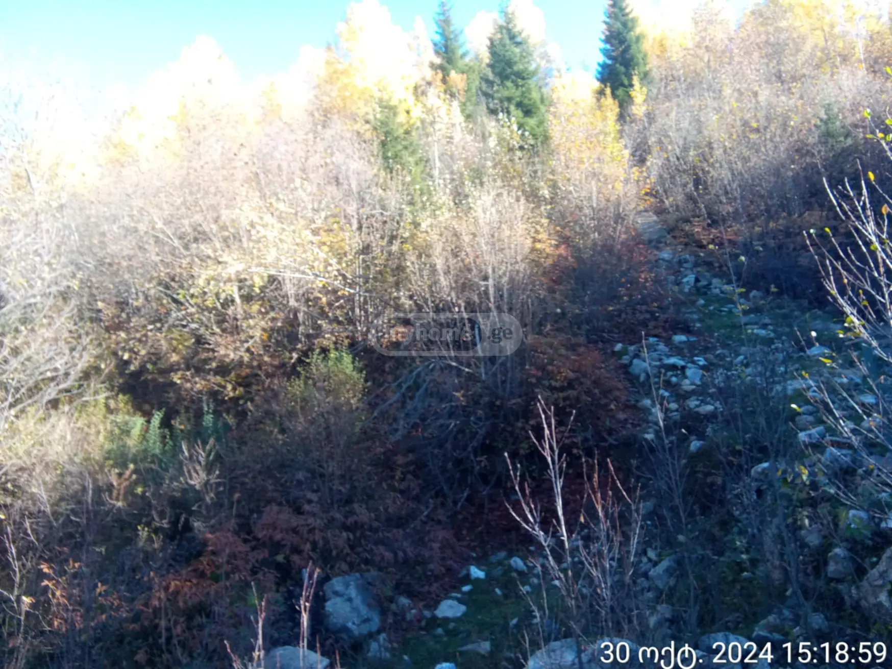 Agricultural Plot For Sale In Mestia view 2