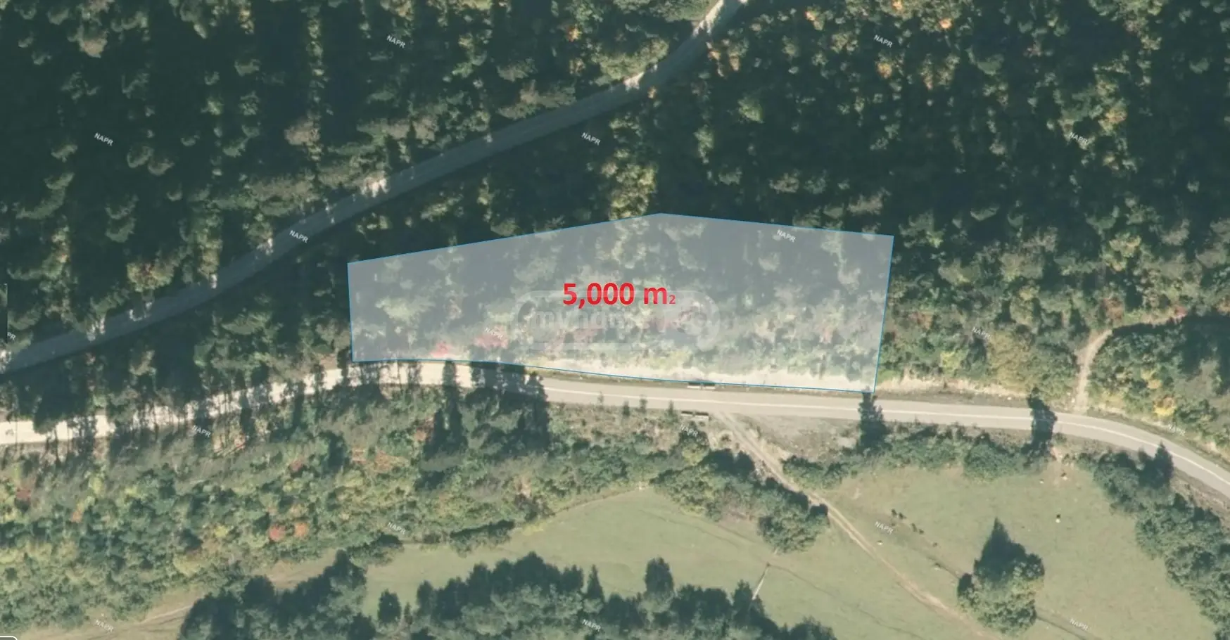 Agricultural Plot For Sale In Mestia view 5