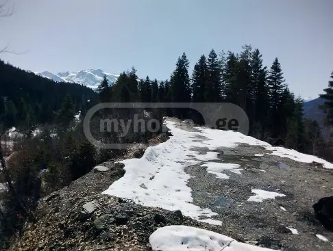 Agricultural Plot For Sale In Mestia view 2