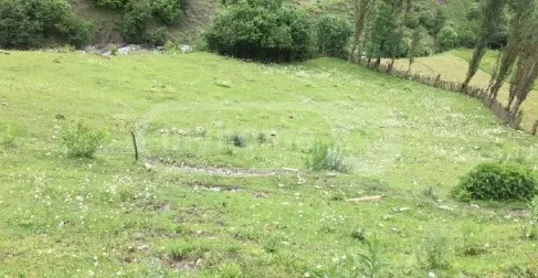 იყიდება Agricultural Plot In Mestiaში view 1
