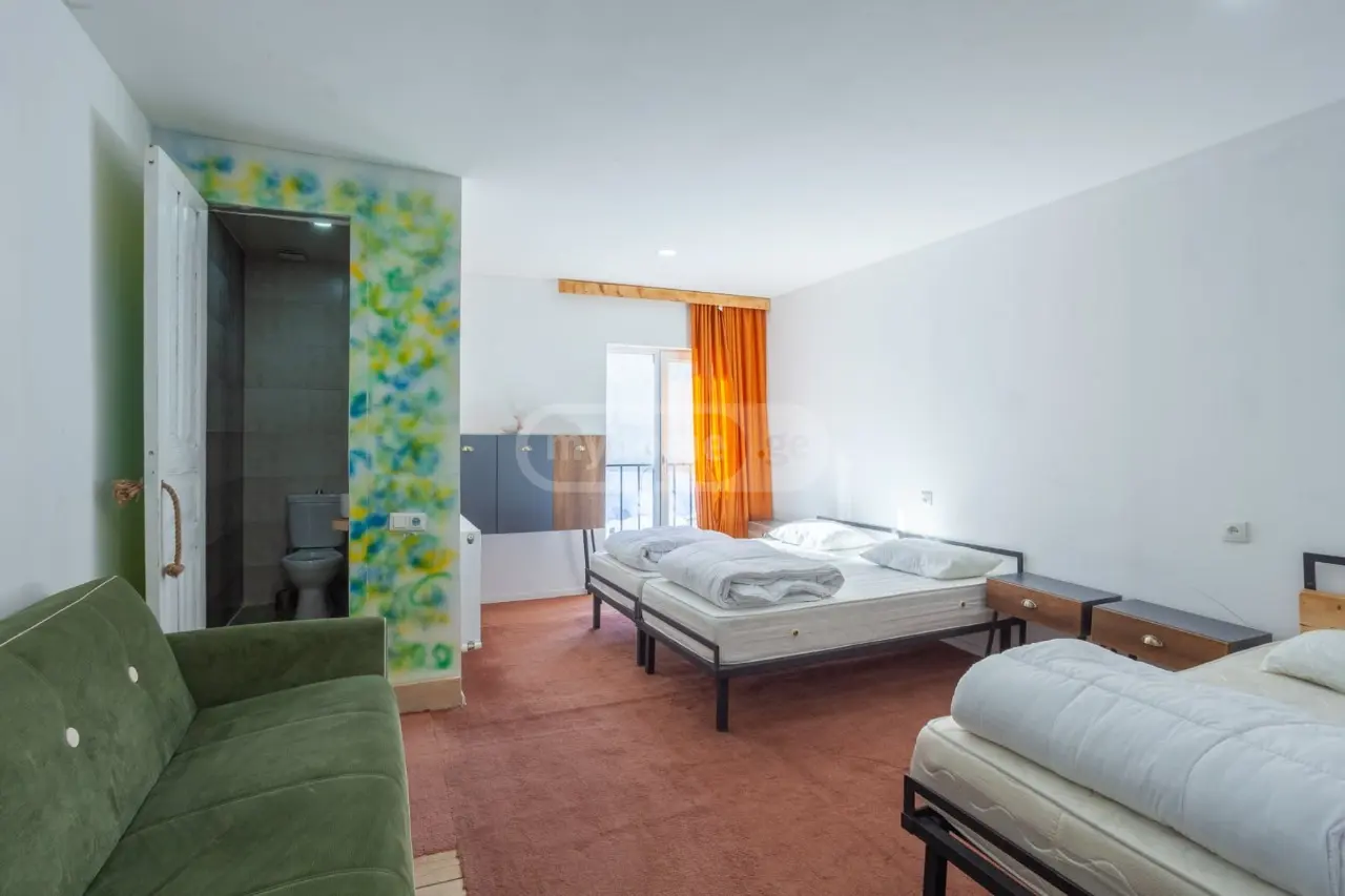 10+ Room Private House For Rent In Bakuriani view 8