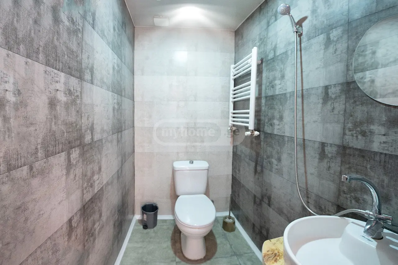 10+ Room Private House For Rent In Bakuriani view 7