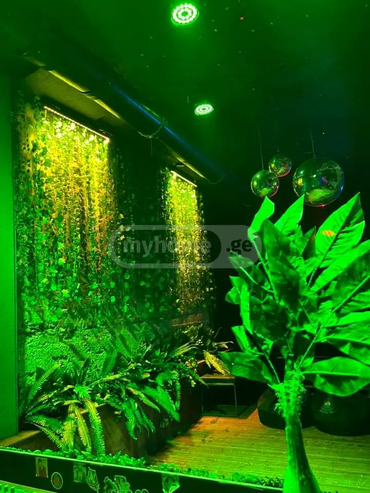 2 Room Private House Daily Rent In Saburtalo view 10