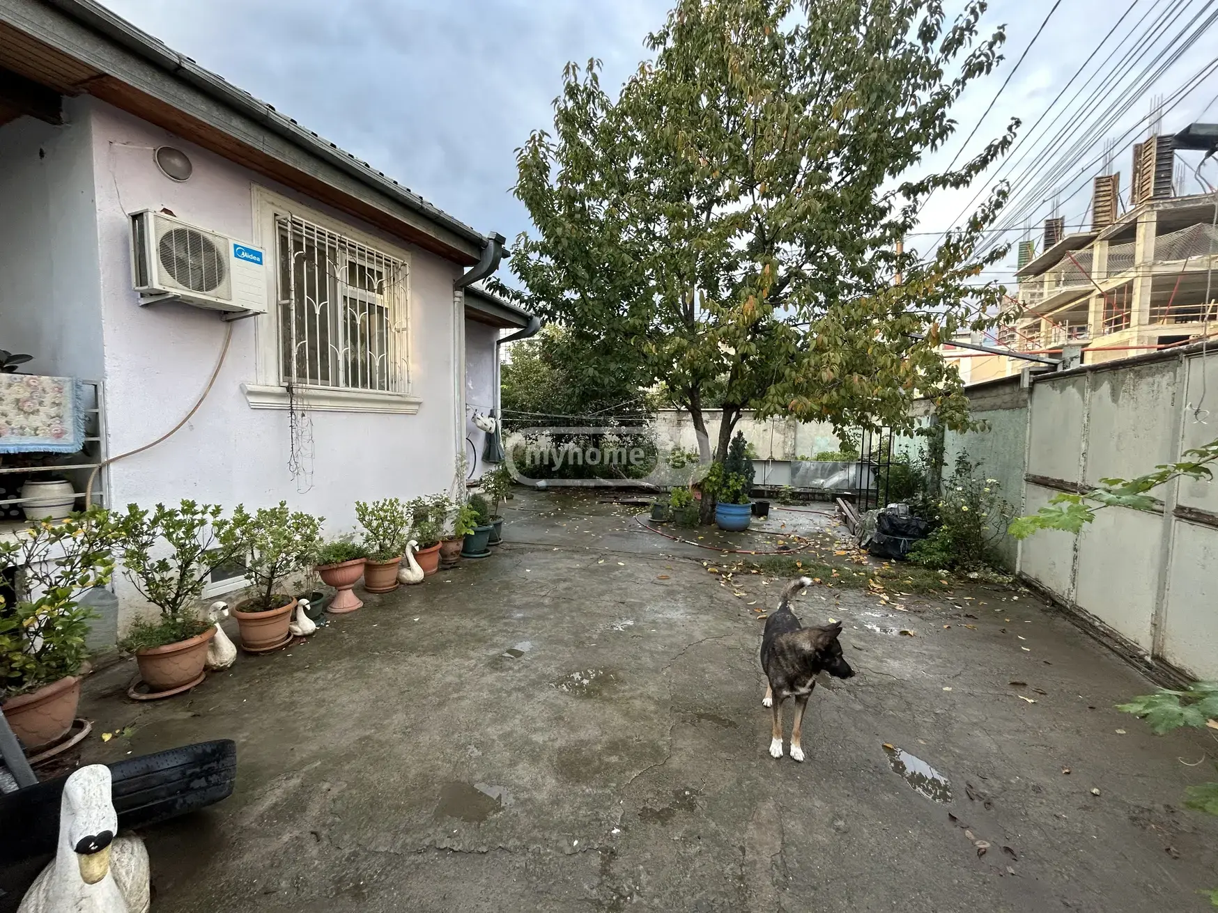 5 Room Private House For Rent In Mtatsminda view 10