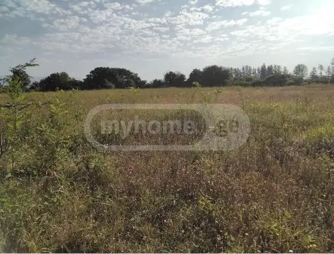 იყიდება Agricultural Plot In Zestaphoniში view 1