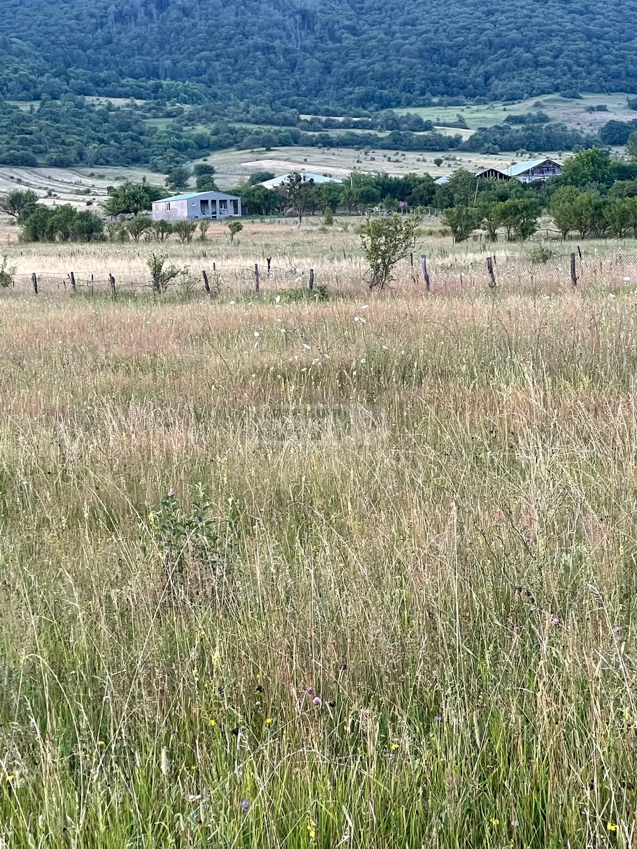 Agricultural Plot For Sale In Tianeti, In Tianeti Municipality view 6