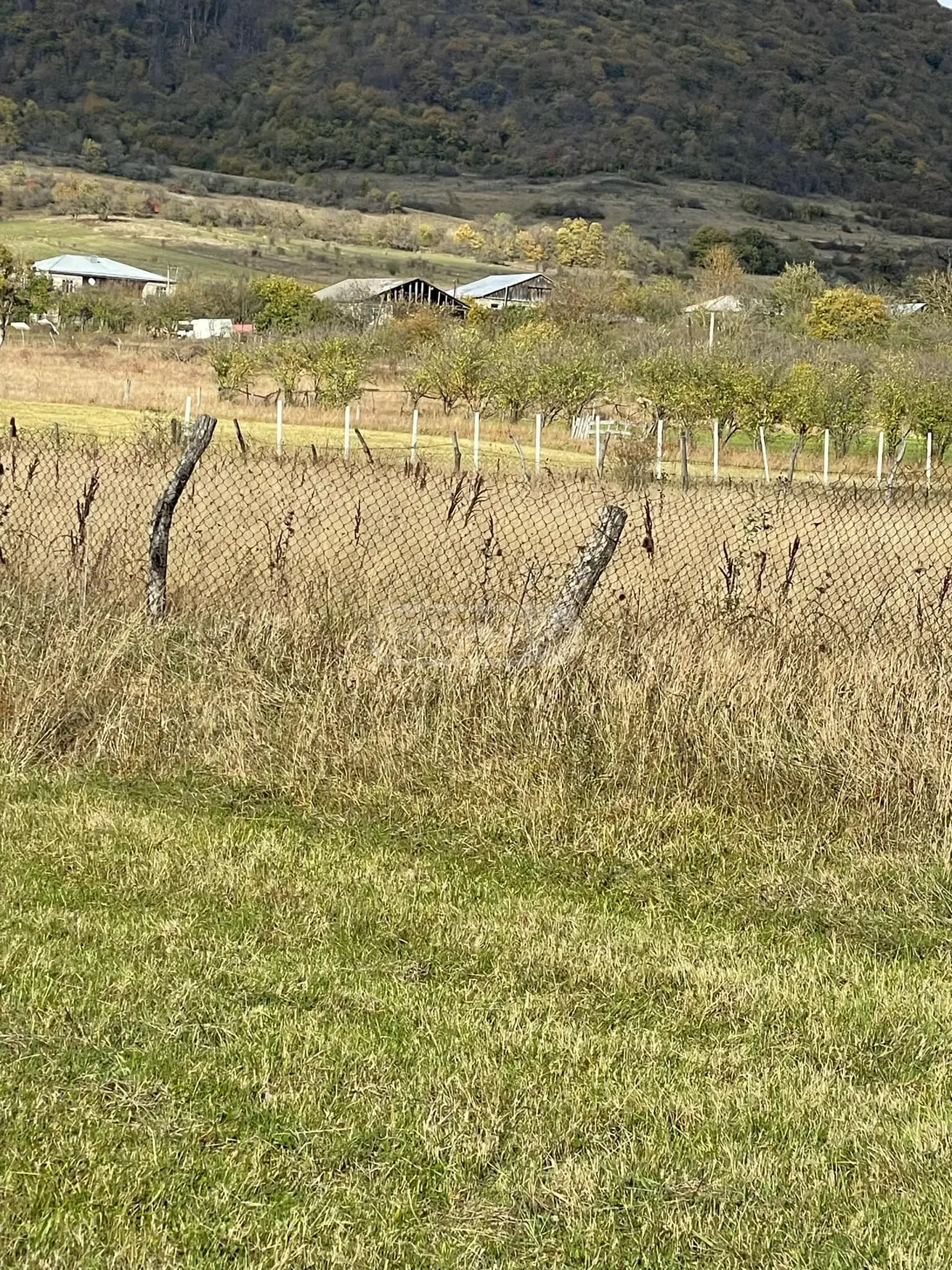 Agricultural Plot For Sale In Tianeti, In Tianeti Municipality view 4