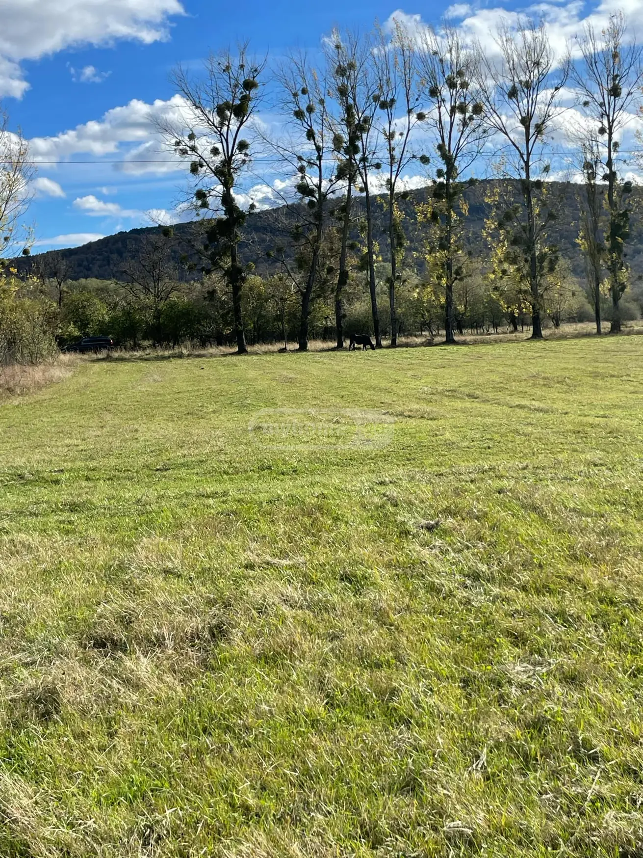 Agricultural Plot For Sale In Tianeti, In Tianeti Municipality view 3