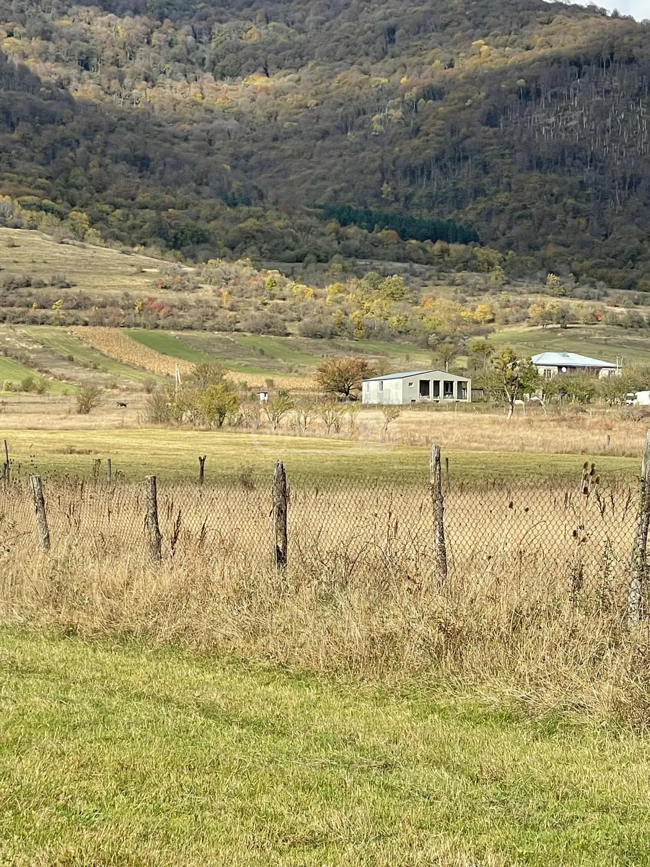 Agricultural Plot For Sale In Tianeti, In Tianeti Municipality view 5