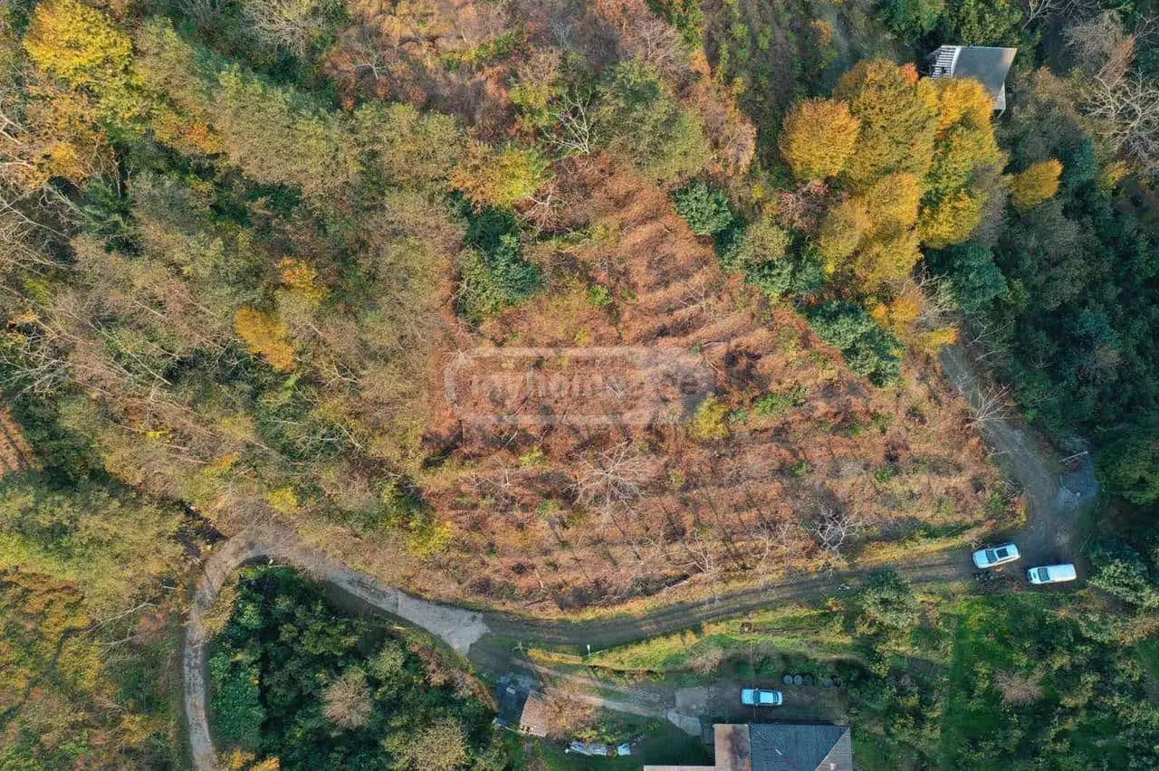 Agricultural Plot For Sale In Khelvachauri Municipality view 1