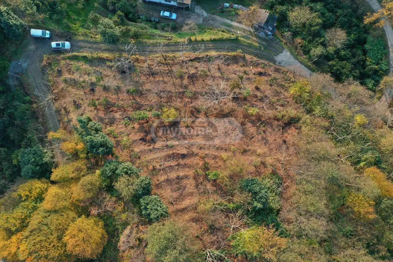 Agricultural Plot For Sale In Khelvachauri Municipality view 2
