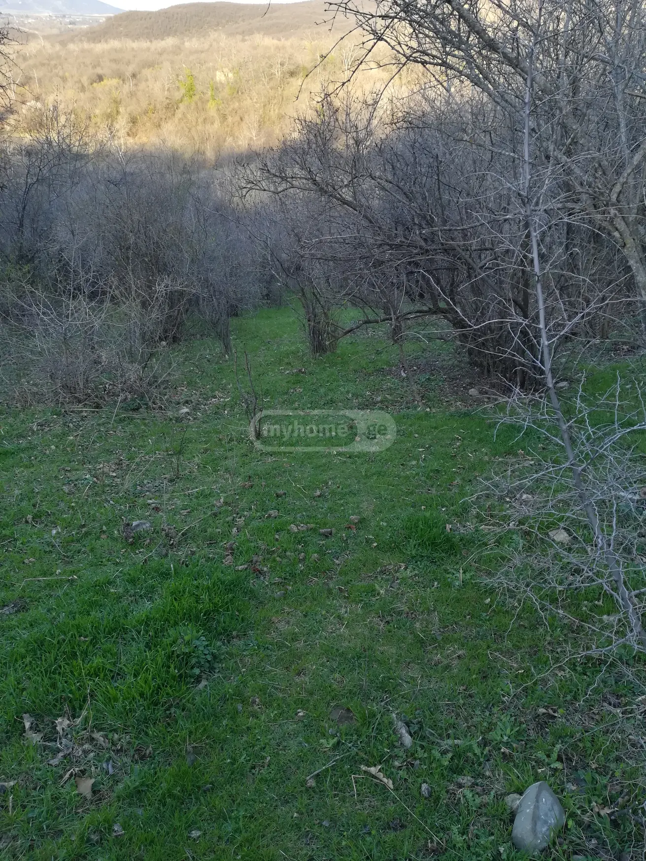 4 Room Country House For Sale view 12