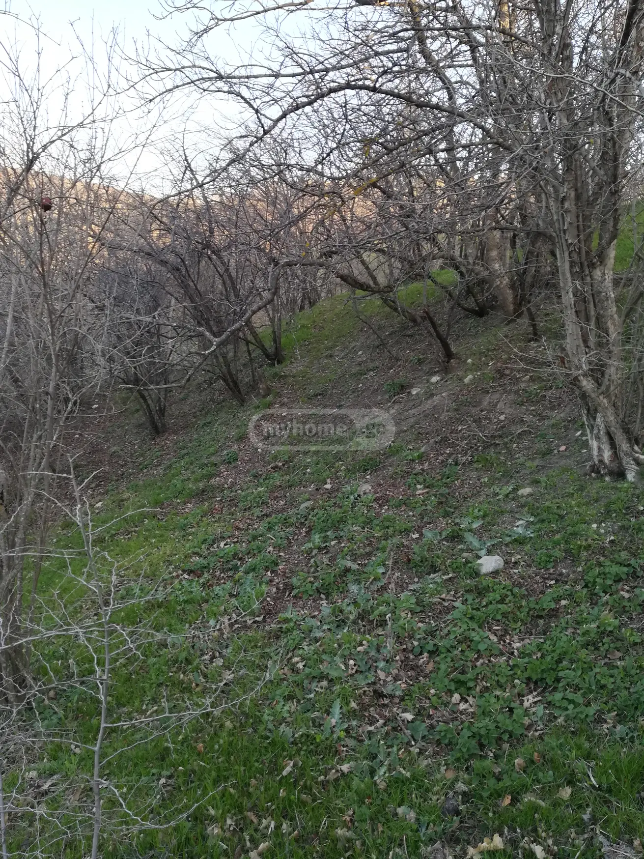 4 Room Country House For Sale view 8