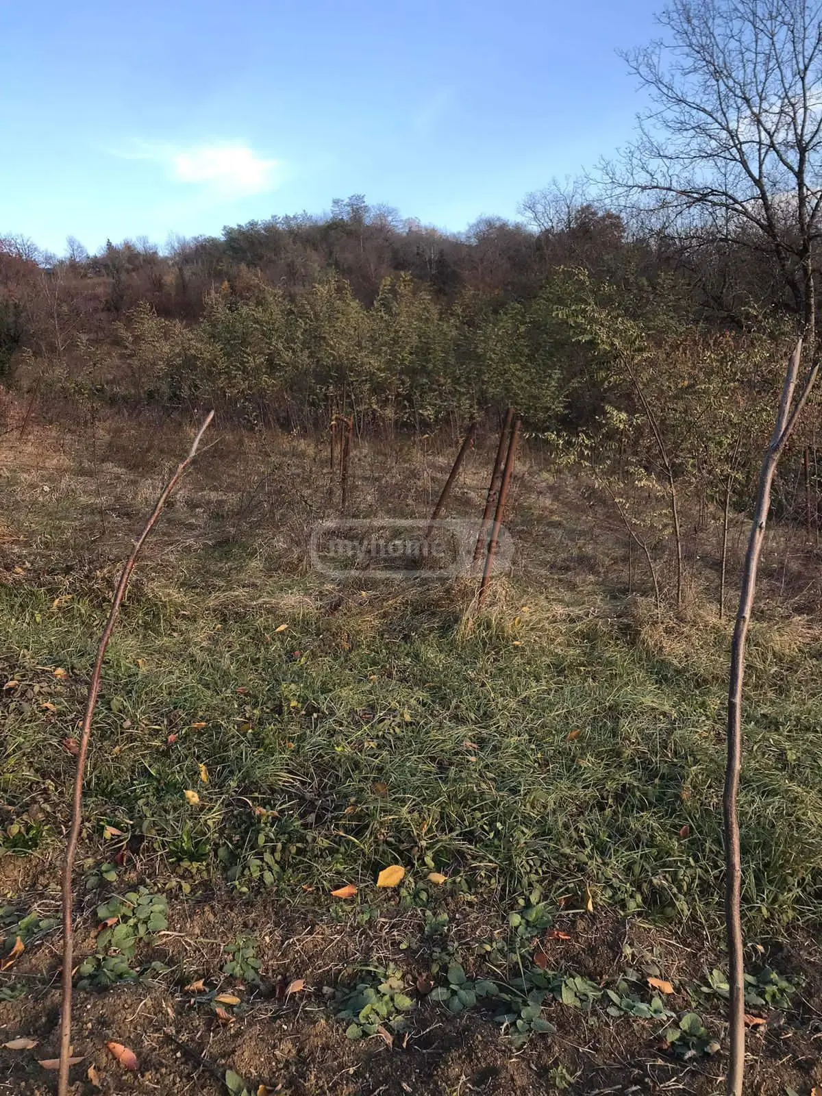 იყიდება Agricultural Plot In Ambrolauriში view 4