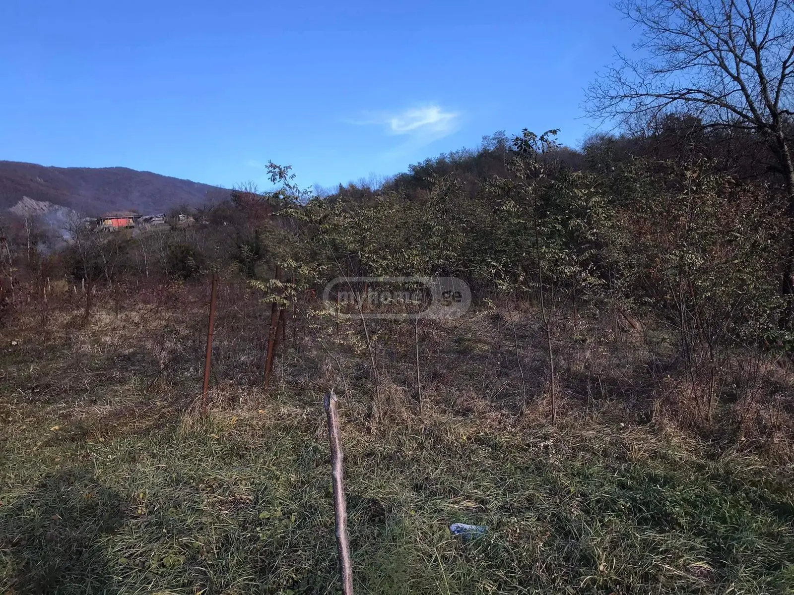 იყიდება Agricultural Plot In Ambrolauriში view 3