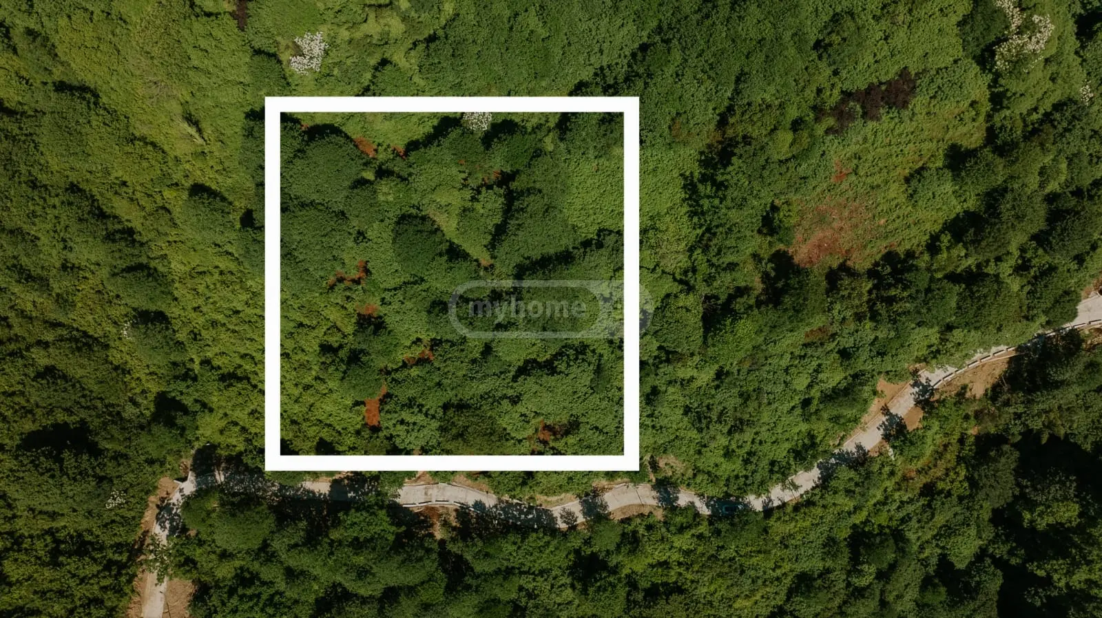 იყიდება Agricultural Plot In Batumiში view 7